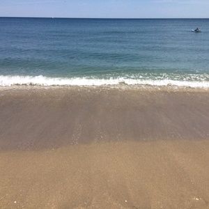 Meet your Posher, Lakisha